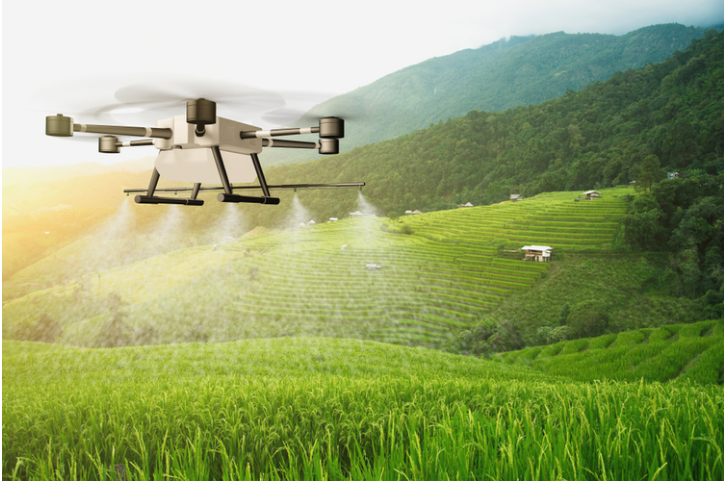 印度准许飞行无人机对抗蝗虫袭击(图1)